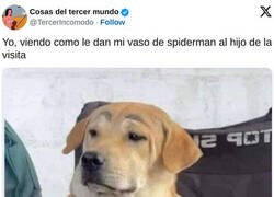 Enlace a ¿Cómo se atreven?