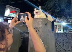 Enlace a Posando para la foto