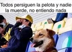 Enlace a Un deporte sin sentido