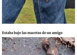 Enlace a Creaciones horripilantes de la madre naturaleza que podrían causar pesadillas