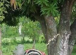 Enlace a Una madre terrible