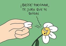 Enlace a ¿Me quiere o no me quiere?