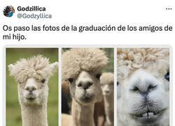 Enlace a Podrían ser las fotos de cualquier graduación