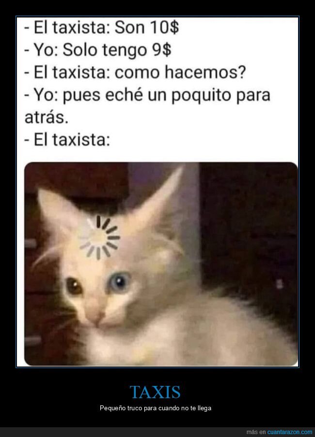 taxista,dinero