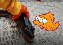 Enlace a Han encontrado a Guiñitos