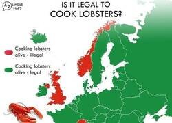 Enlace a Países que piensan en las langostas