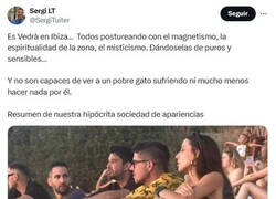 Enlace a Un nuevo capítula de 