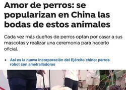 Enlace a Cómo ha cambiado la cosa en China...