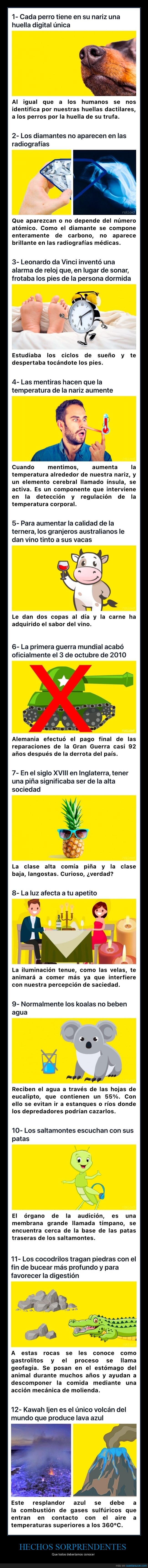 datos interesantes,curiosidades