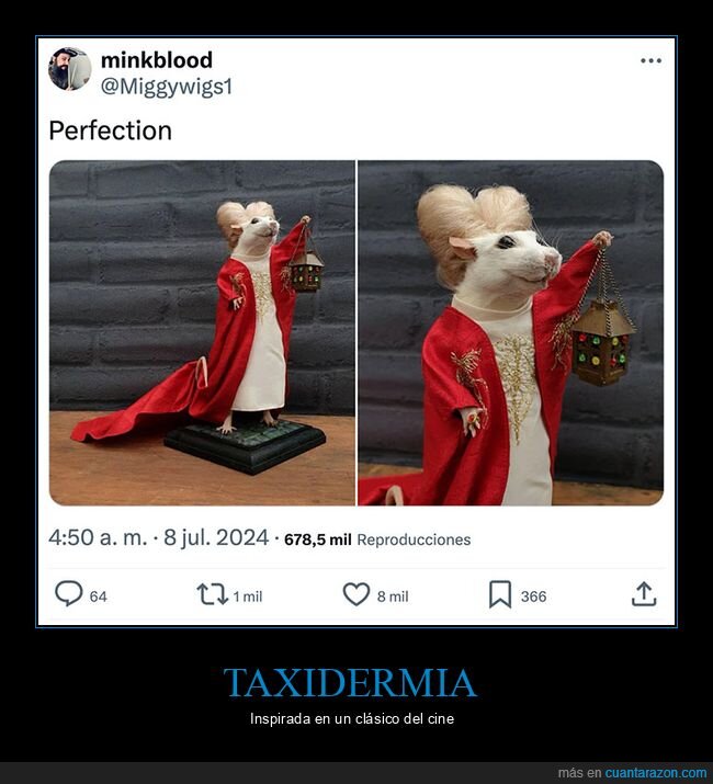 drácula,ratón,taxidermia,wtf