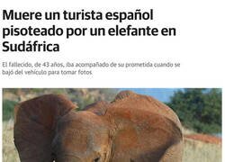Enlace a Imprudencia en el safari