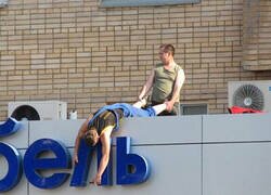 Enlace a Confianza total en su compañero