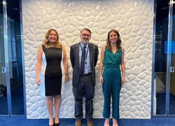 Enlace a Vestido con efecto óptico