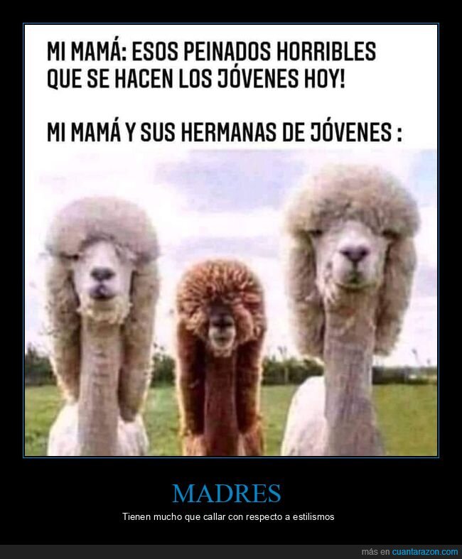 madre,peinados,jóvenes