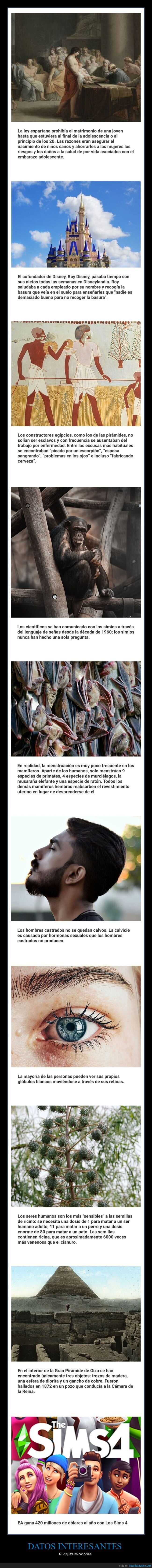 datos interesantes,curiosidades