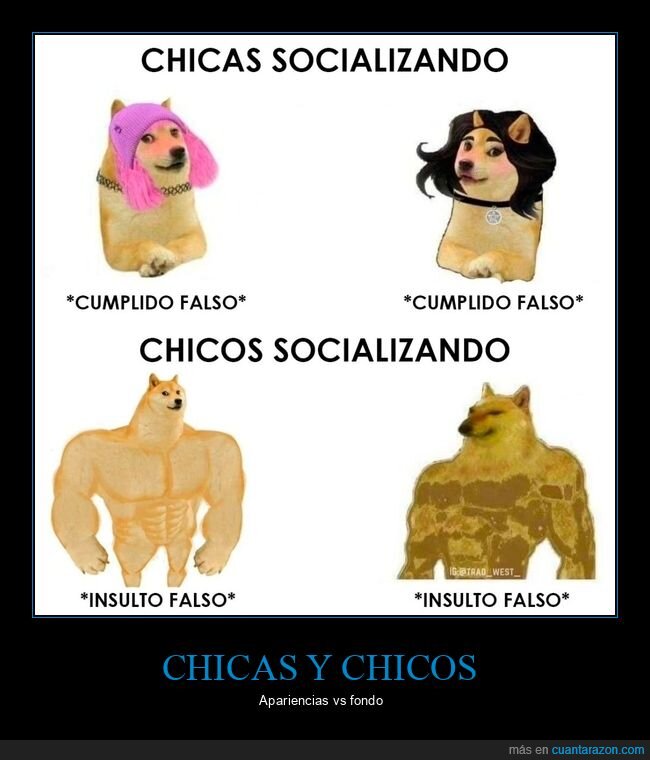 chicas,chicos,socializando,cumplido,insulto