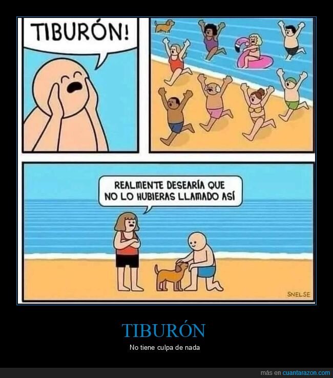 tiburón,playa,perro,nombre