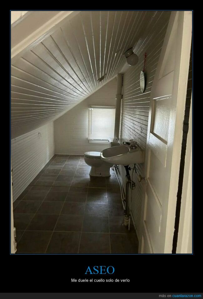 aseo,techo