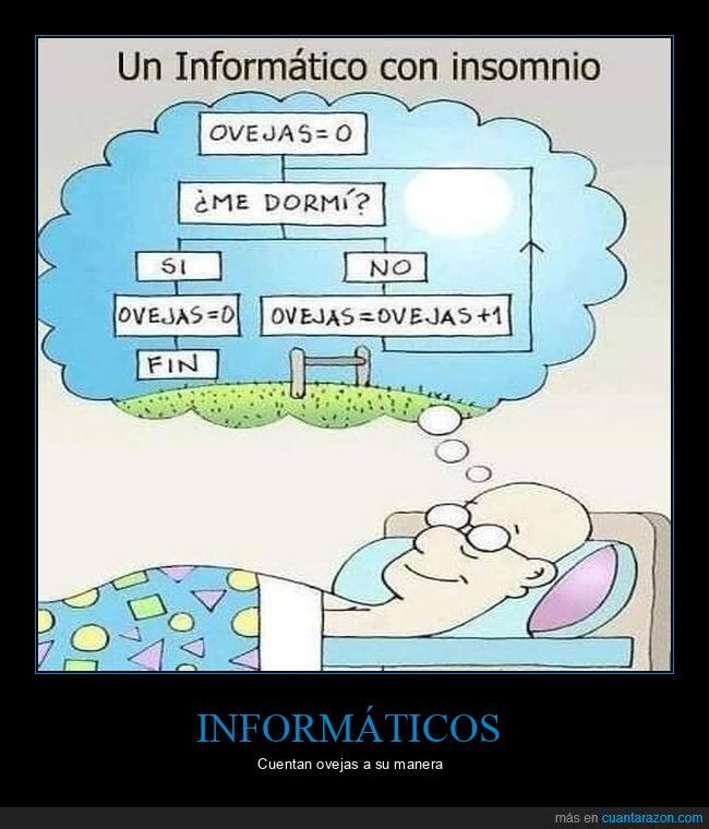 informático,insomnio,ovejas