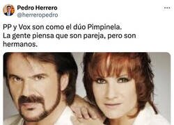 Enlace a Los Pimpinela de la política