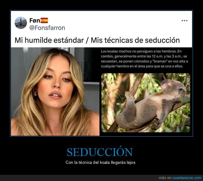 koala,seducción,técnicas