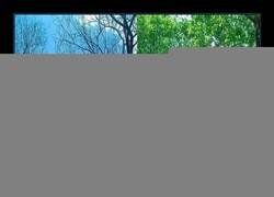 Enlace a La lluvia es necesaria