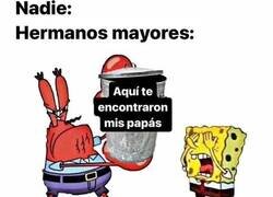 Enlace a Quien tenga hermanos mayores, lo ha sufrido