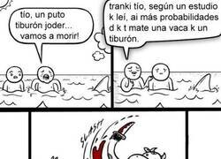 Enlace a Cuidado con las vacas