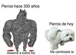 Enlace a ¿Qué pasó con los perros de verdad?