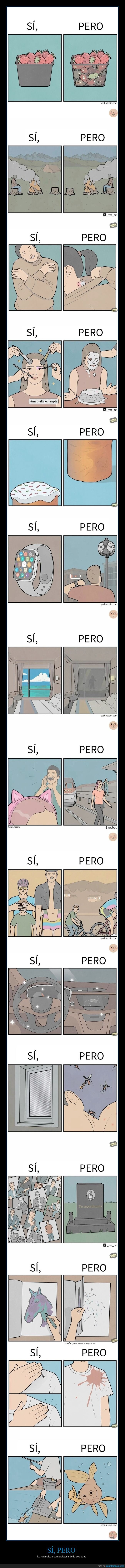 si pero,si,pero,contradicción