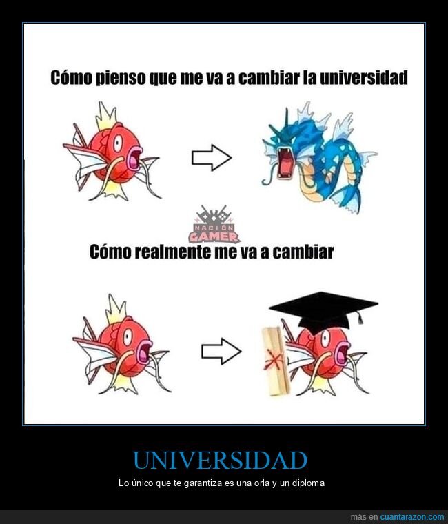 universidad,pokemon,titulo