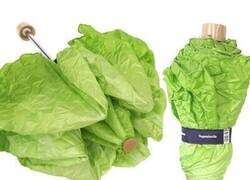 Enlace a Menudo aborto de paraguas