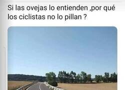 Enlace a Ciclistas, espabilad