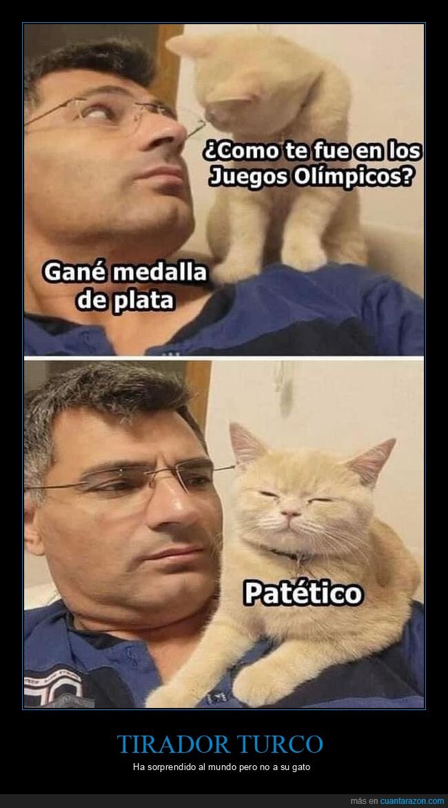 tiro olímpico,gato,turco