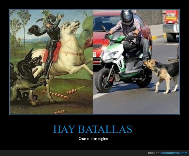 perros,caballos,motos