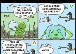 Enlace a Rana exploradora