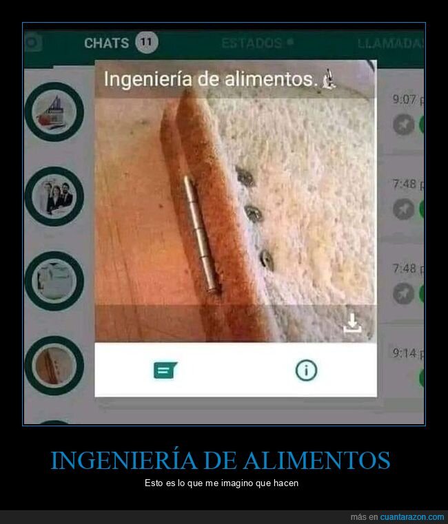 ingeniería de alimentos,pan,bisagras