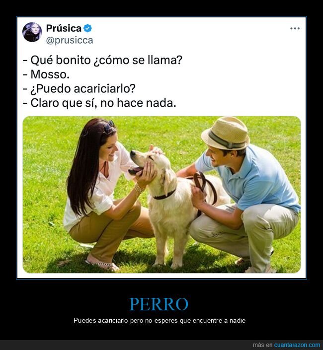 perro,mossos