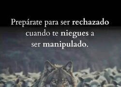 Enlace a Consecuencias de no dejarse manipular