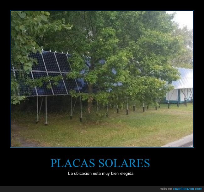 árboles,fails,placas solares