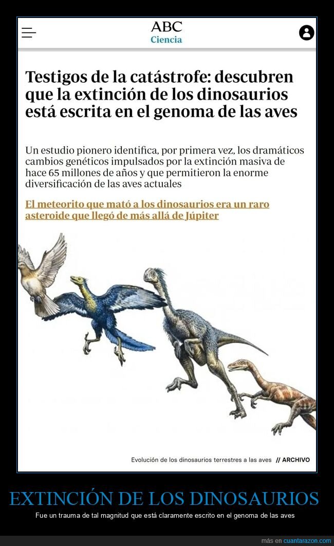 extinción,dinosaurios,genoma,aves