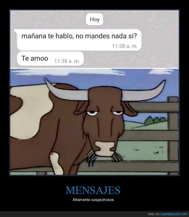 whatsapp,cuernos