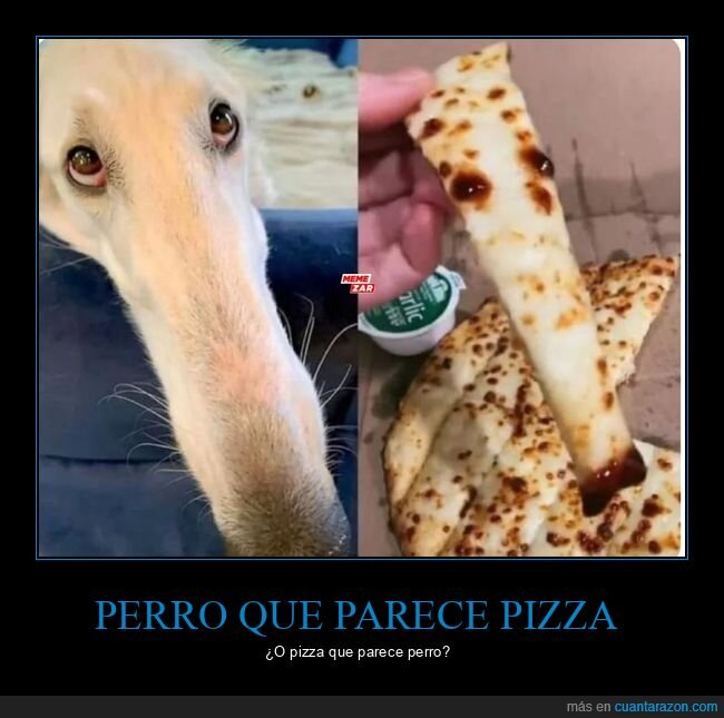 perro,pizza,parecidos