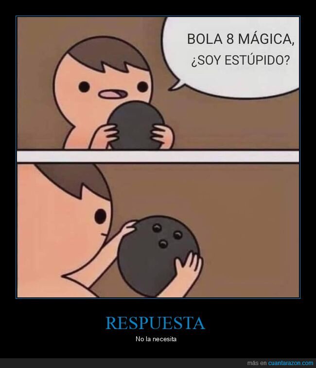 bola 8 mágica,bola de bolos,estúpido