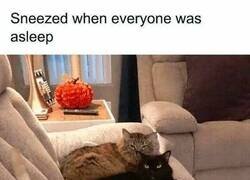 Enlace a La mirada de la indignación