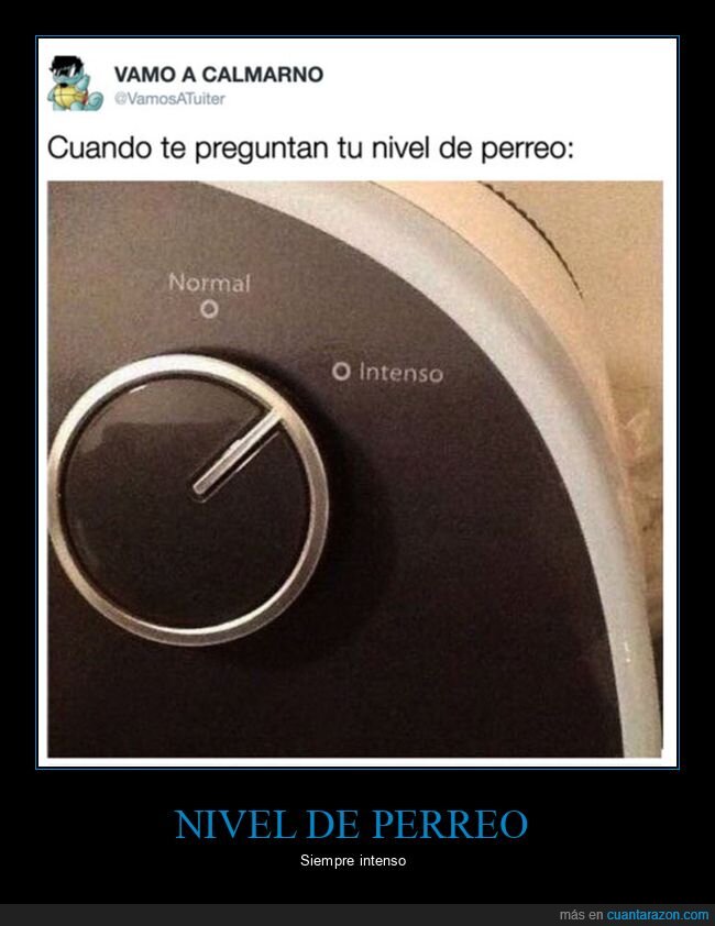 intenso,normal,perreo