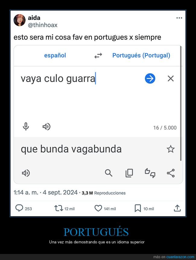 portugués,traductor