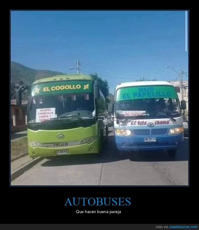 autobuses,cogollo,papelillo