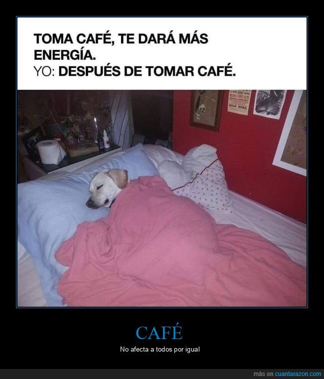 café,energía