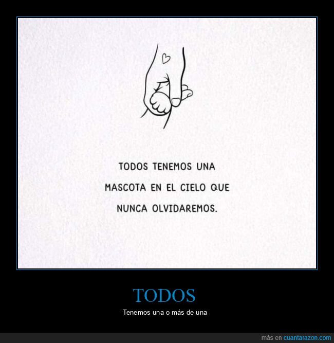 mascota,cielo,olvidar